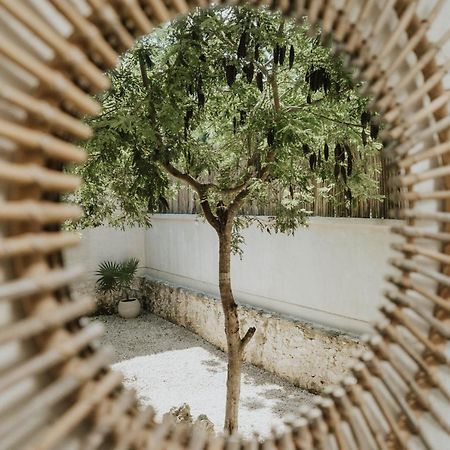 Casa Chimi Tulum Bed & Breakfast Exterior foto